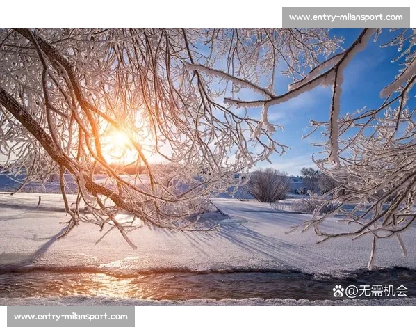 日常微光:触摸生活的温度